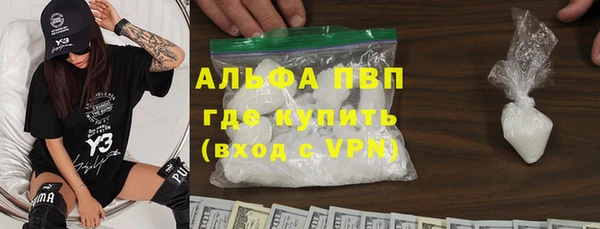 хмурый Няндома