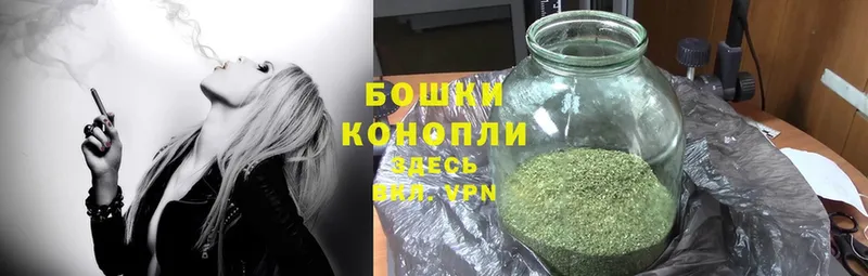 Шишки марихуана OG Kush  мега ссылка  Кировск 