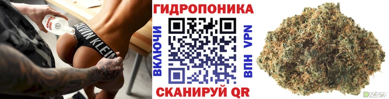 Бошки Шишки Amnesia наркотики Кировск