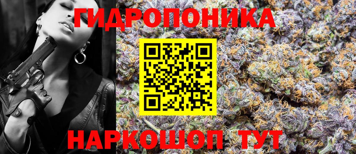 Марихуана сатива Кировск